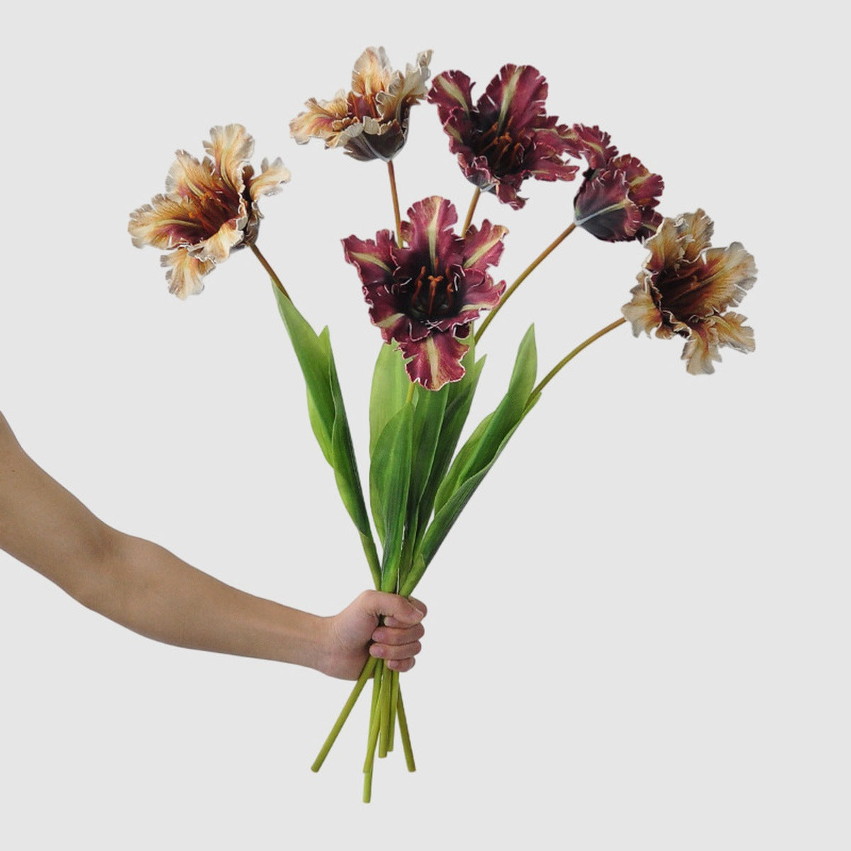 EVERIVELLE 27.6-Inch Open Parrot Artificial Tulip Stem