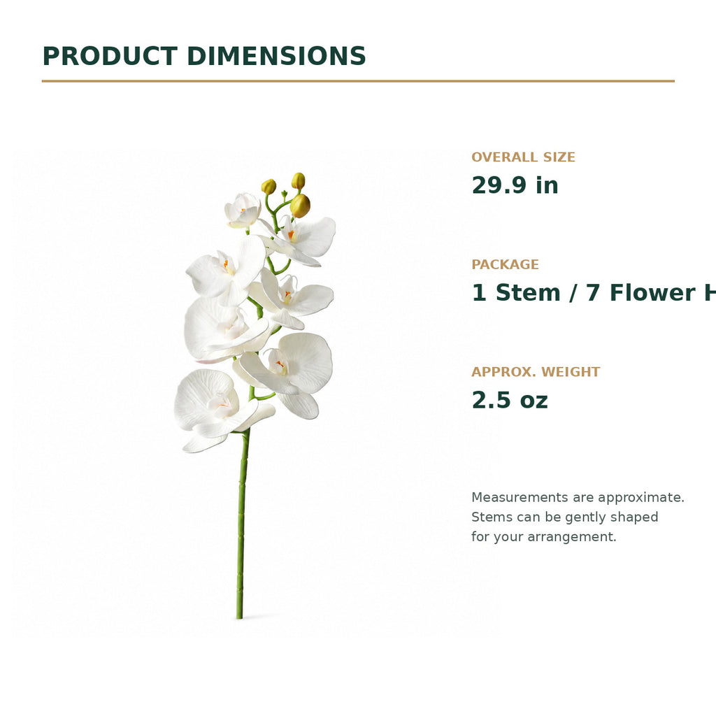 EVERIVELLE 29.9-Inch Seven-Head EVA Phalaenopsis Orchid Stem