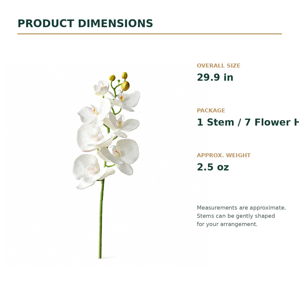 EVERIVELLE 29.9-Inch Seven-Head EVA Phalaenopsis Orchid Stem