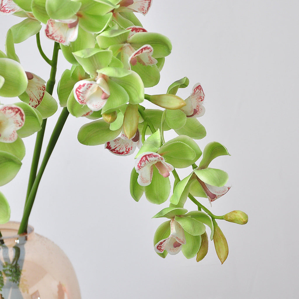 EVERIVELLE 27.2-Inch Green 3D Artificial Cymbidium Orchid Stem