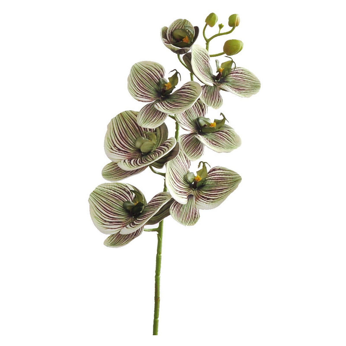 EVERIVELLE 29.9-Inch Seven-Head EVA Phalaenopsis Orchid Stem
