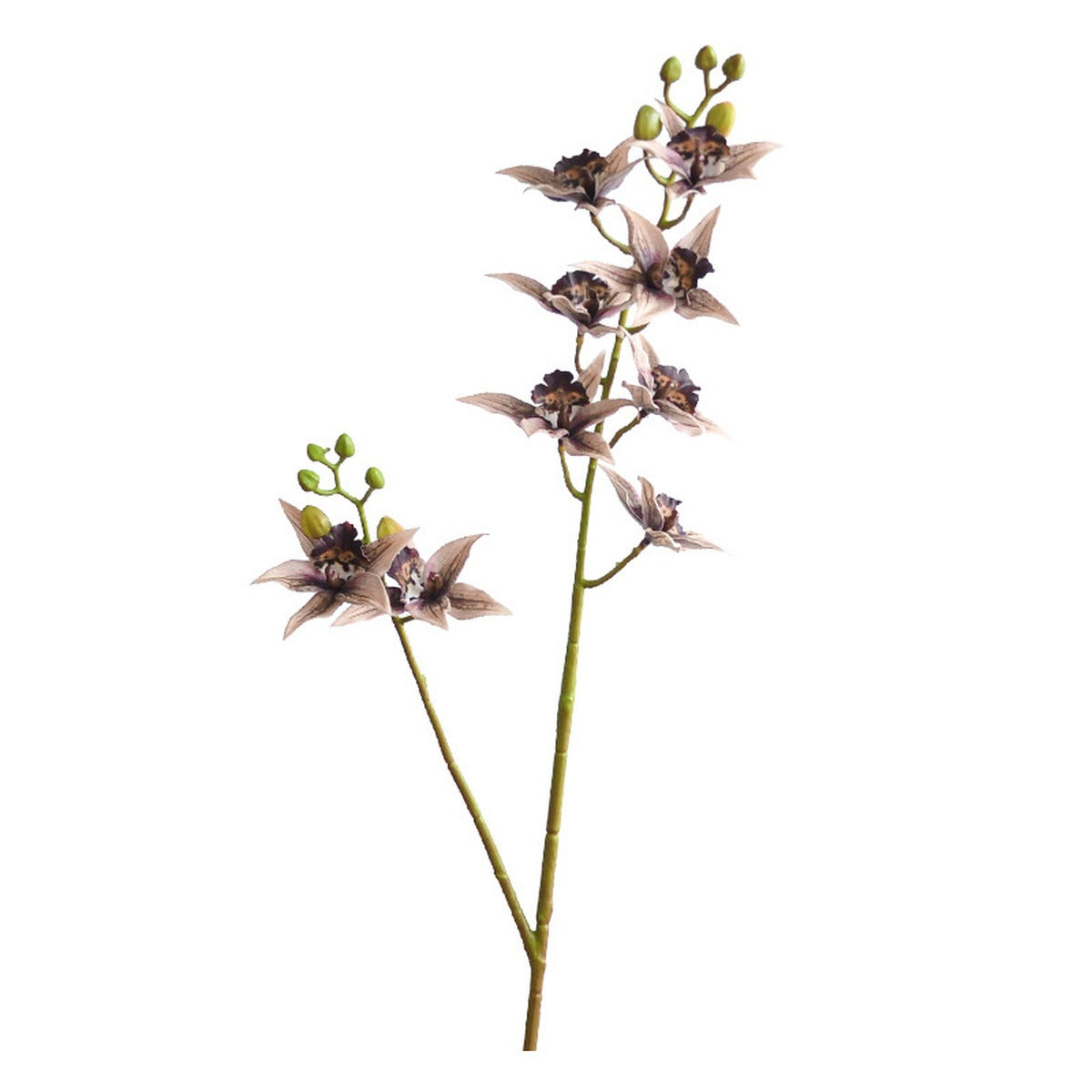 EVERIVELLE 34.3-Inch 3D-Printed Artificial Calanthe Orchid Stem