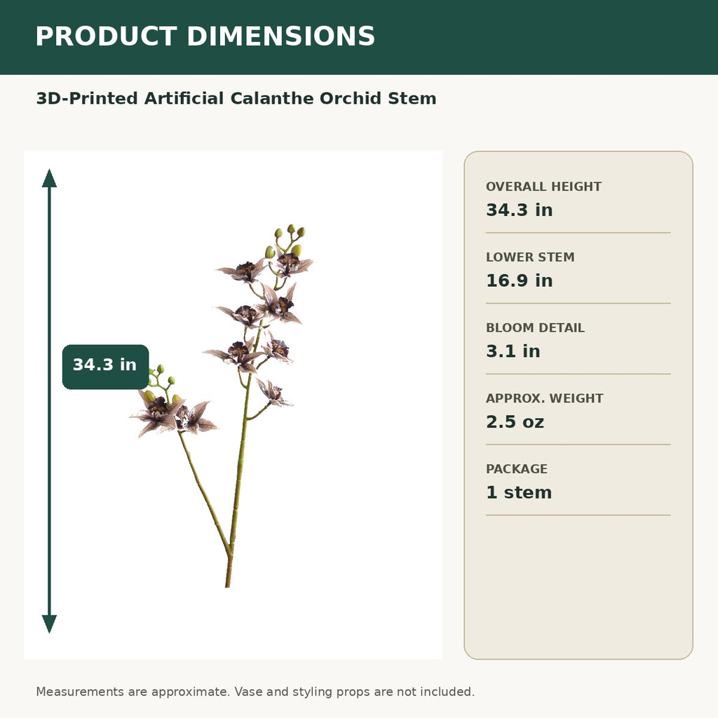 EVERIVELLE 34.3-Inch 3D-Printed Artificial Calanthe Orchid Stem