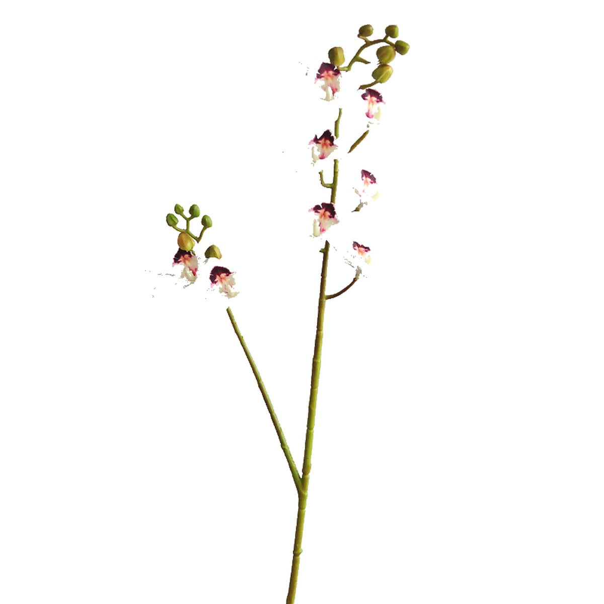 EVERIVELLE 34.3-Inch 3D-Printed Artificial Calanthe Orchid Stem