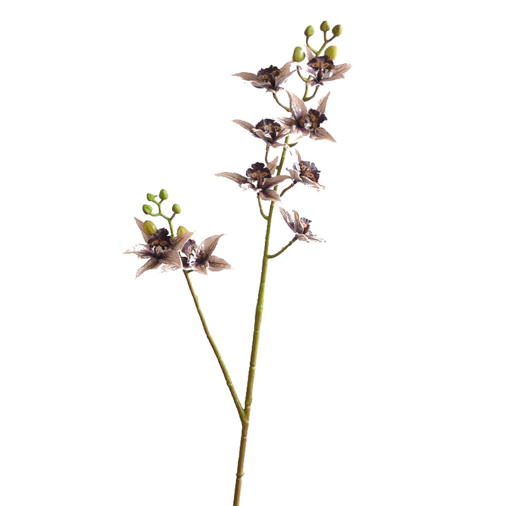 EVERIVELLE 34.3-Inch 3D-Printed Artificial Calanthe Orchid Stem