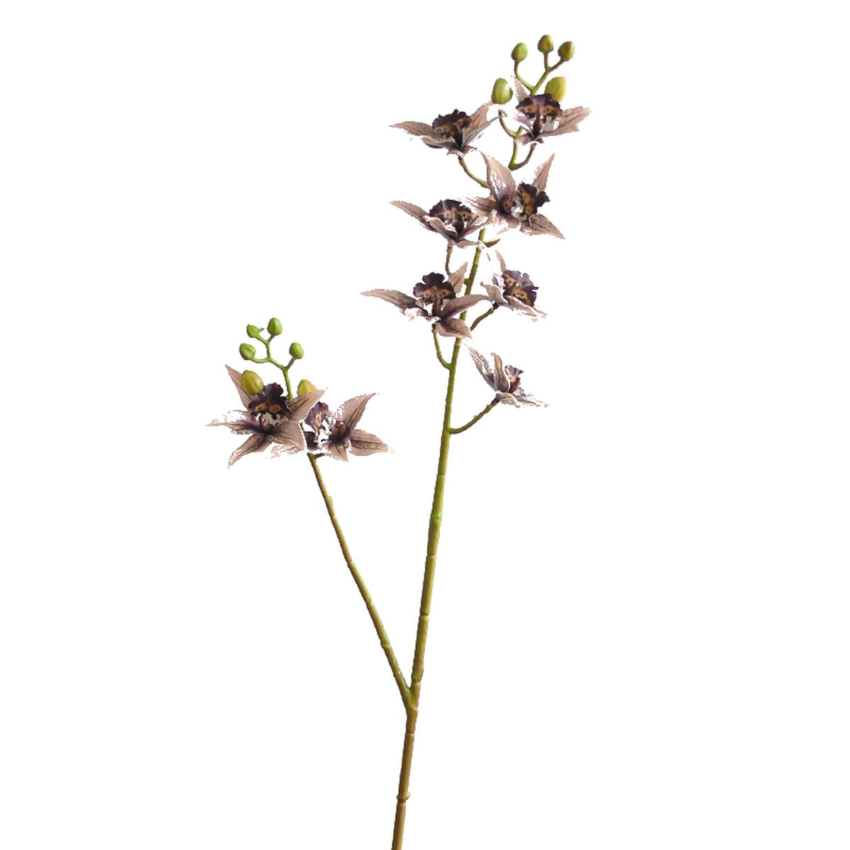 EVERIVELLE 34.3-Inch 3D-Printed Artificial Calanthe Orchid Stem