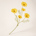 EVERIVELLE Five-Head Artificial Daisy Stem
