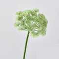 EVERIVELLE Artificial Allium Lace Flower Stem