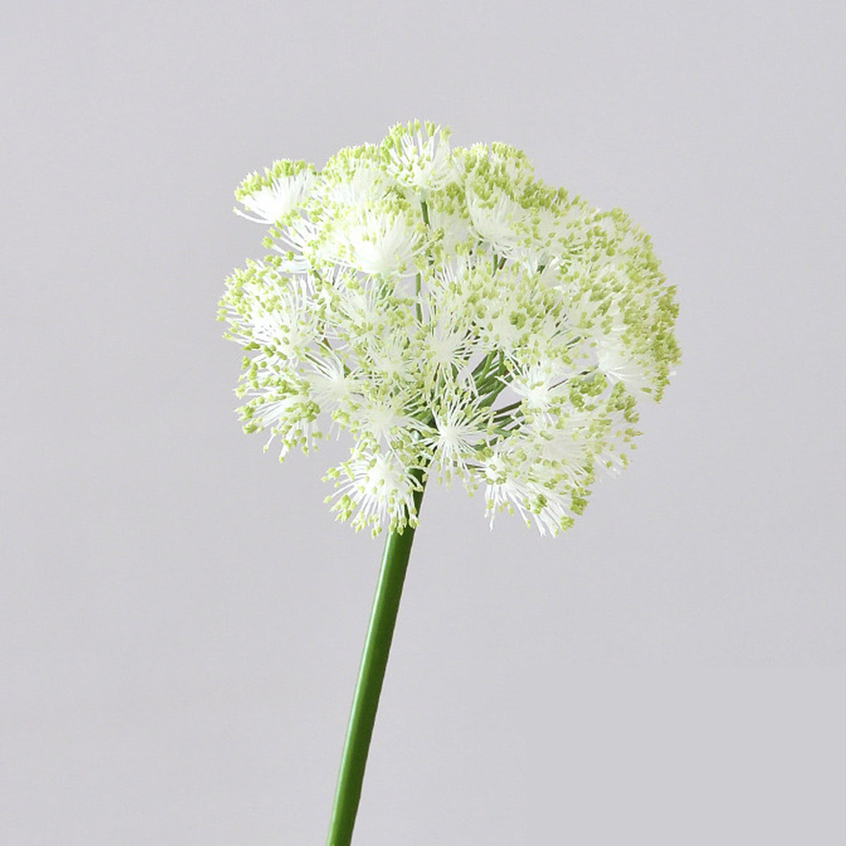 EVERIVELLE Artificial Allium Lace Flower Stem