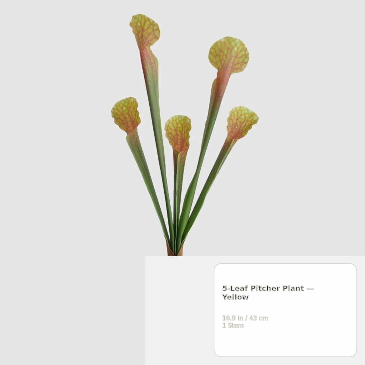 EVERIVELLE Artificial Elephant Ear Leaf & Pitcher Plant Spray