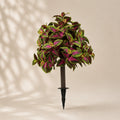 EVERIVELLE Artificial Coleus Garden Stake