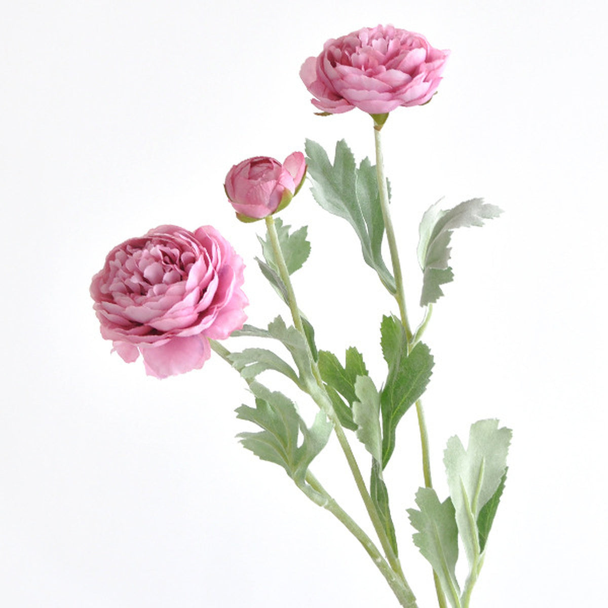 EVERIVELLE Three-Head Flocked Artificial Ranunculus Stem