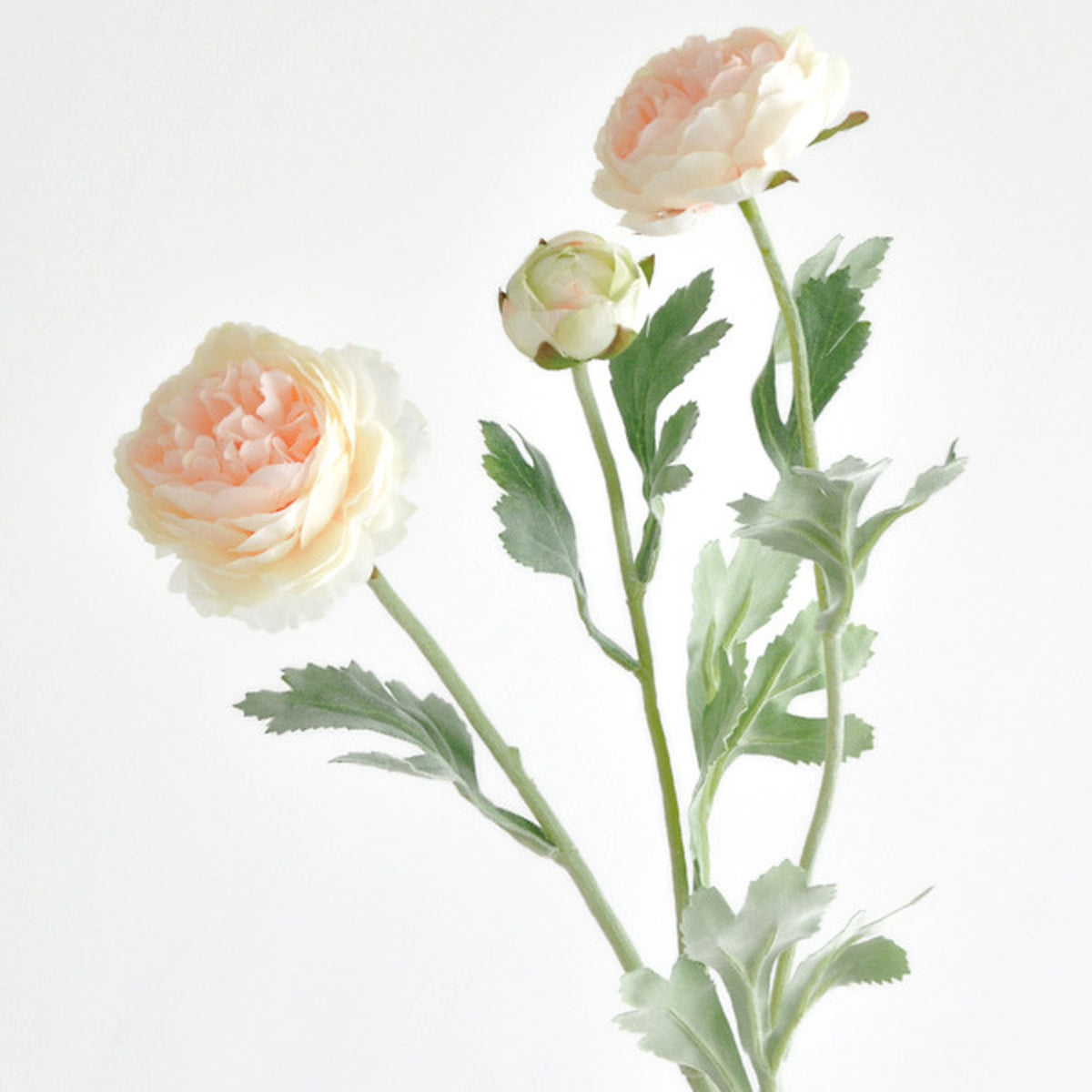 EVERIVELLE Three-Head Flocked Artificial Ranunculus Stem