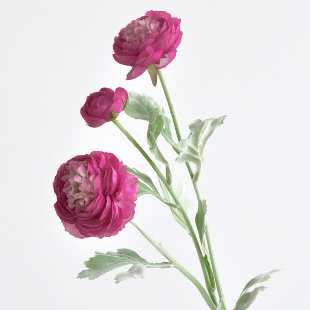 EVERIVELLE Three-Head Flocked Artificial Ranunculus Stem