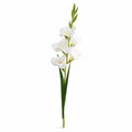 EVERIVELLE 35.8-Inch Artificial Gladiolus Stem