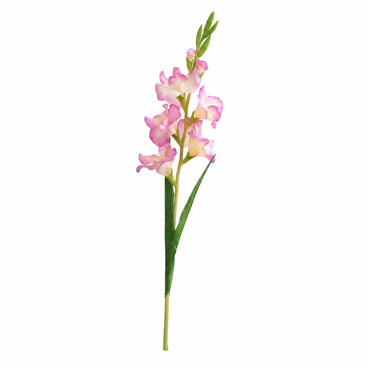EVERIVELLE 35.8-Inch Artificial Gladiolus Stem