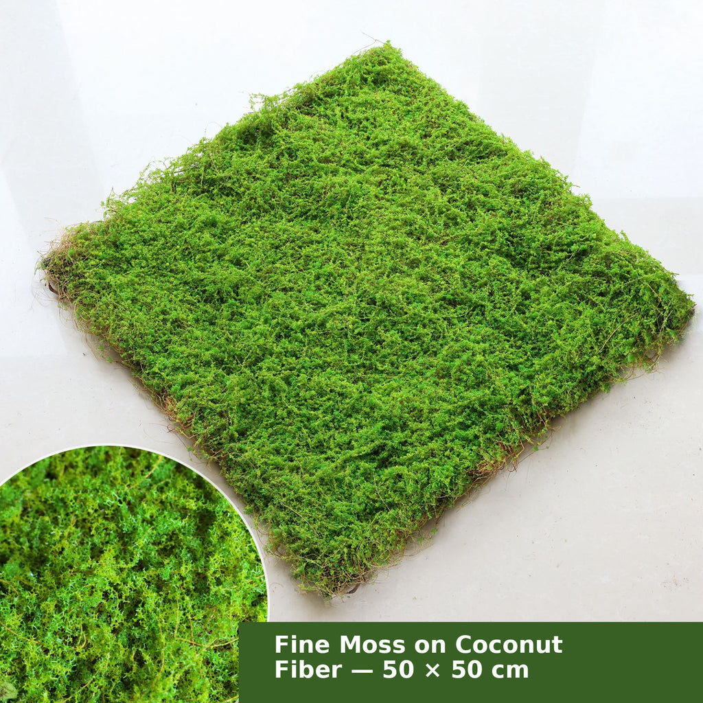 EVERIVELLE Artificial Moss Turf Sheet