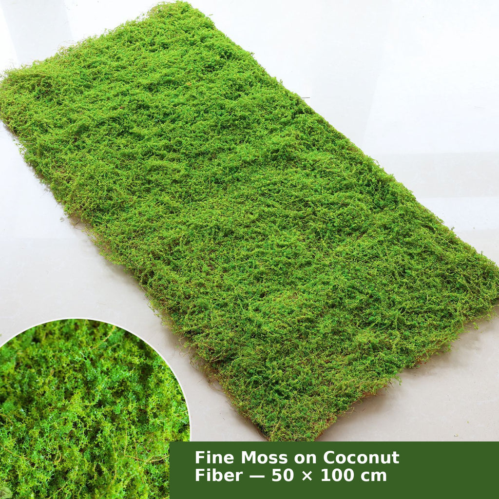 EVERIVELLE Artificial Moss Turf Sheet