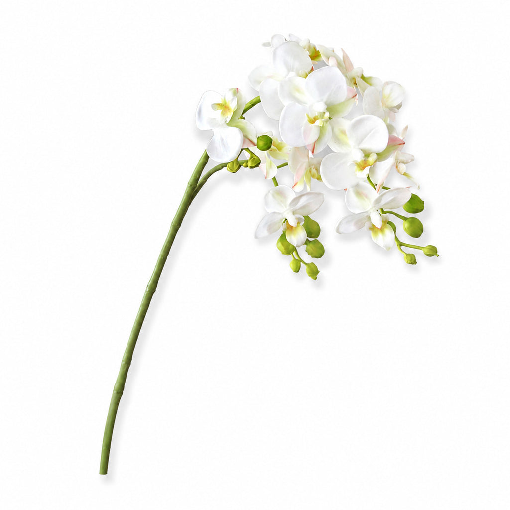 EVERIVELLE Three-Branch Artificial Phalaenopsis Orchid Stem