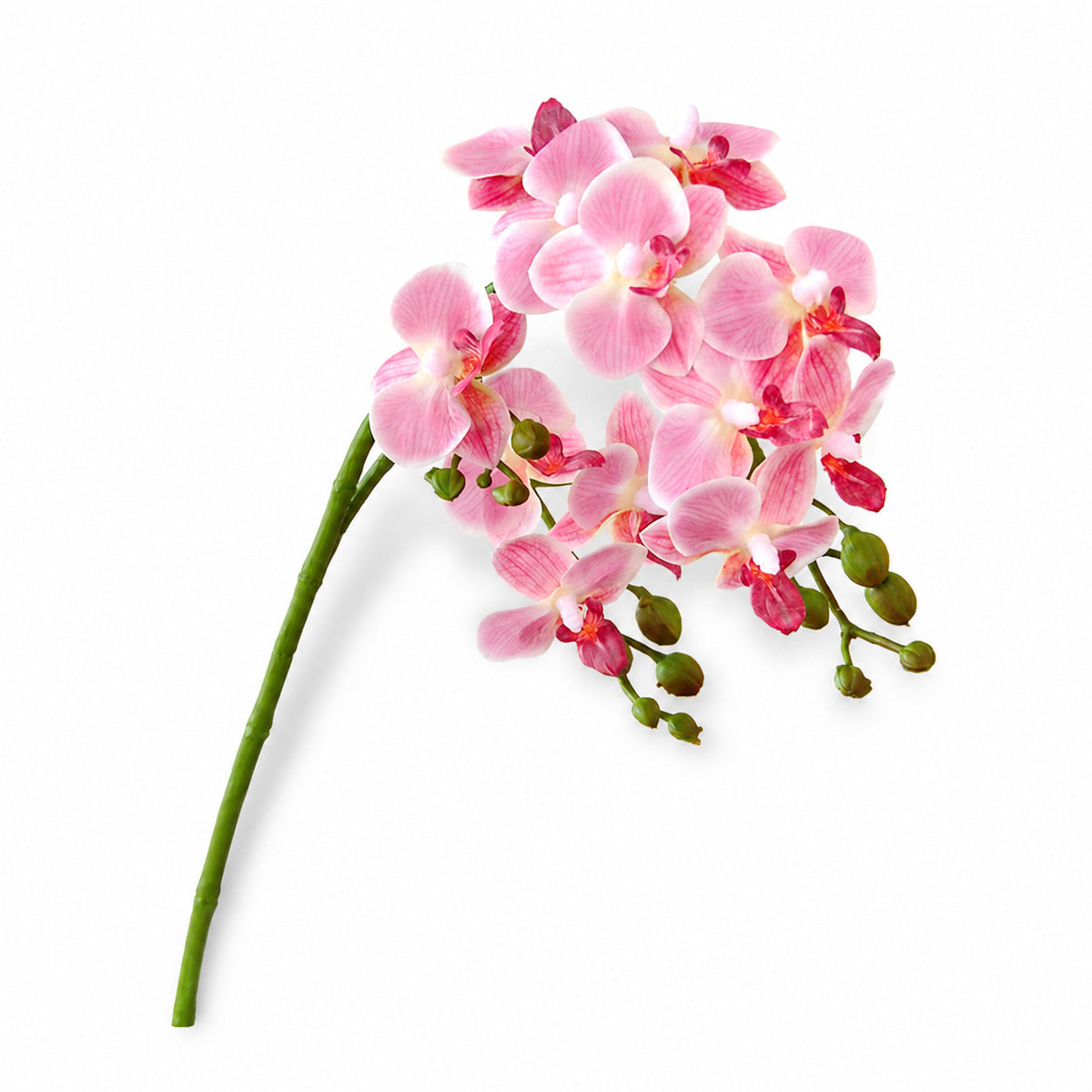 EVERIVELLE Three-Branch Artificial Phalaenopsis Orchid Stem