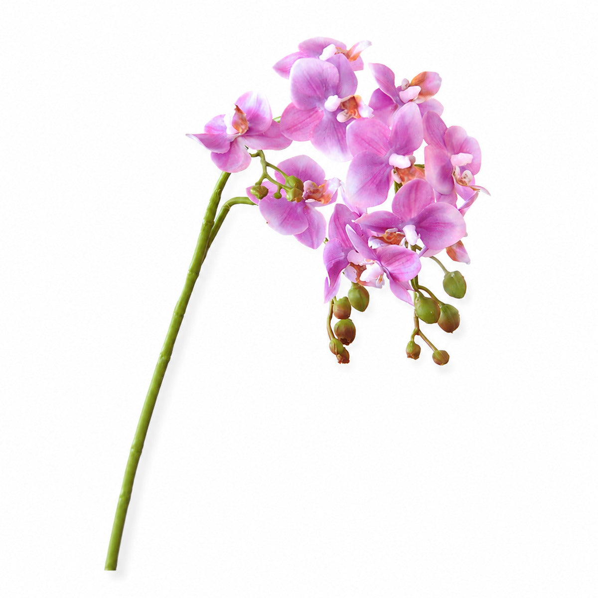 EVERIVELLE Three-Branch Artificial Phalaenopsis Orchid Stem