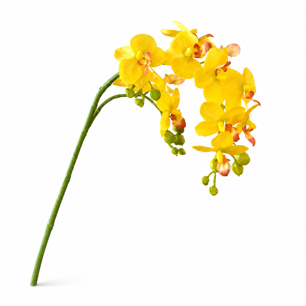 EVERIVELLE Three-Branch Artificial Phalaenopsis Orchid Stem