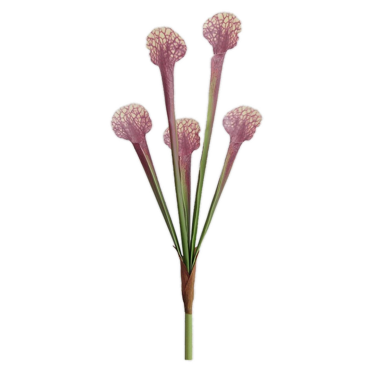 EVERIVELLE Artificial Elephant Ear Leaf & Pitcher Plant Spray