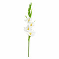 EVERIVELLE 22-Inch PU Artificial Gladiolus Stem