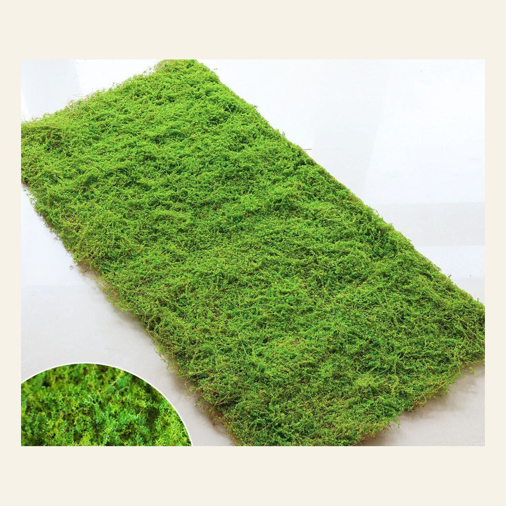 EVERIVELLE Artificial Moss Turf Sheet