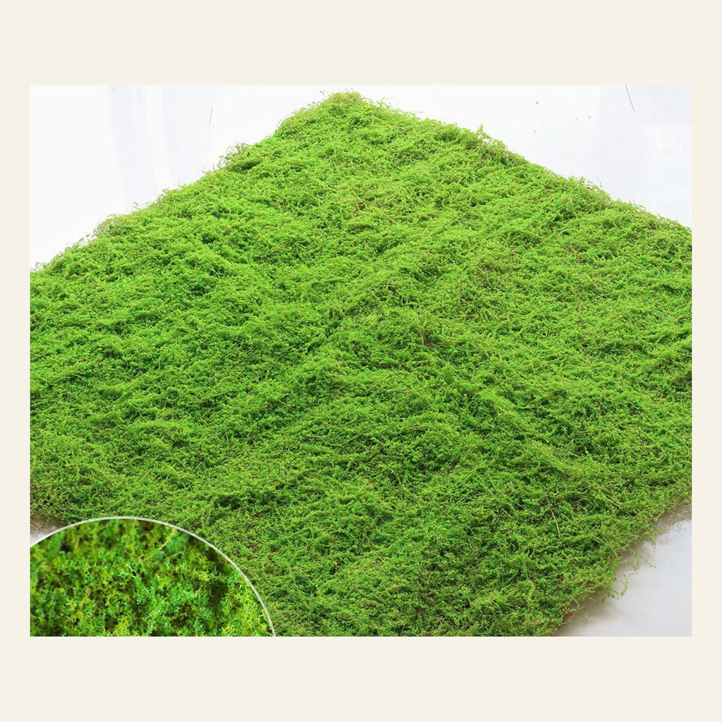 EVERIVELLE Artificial Moss Turf Sheet