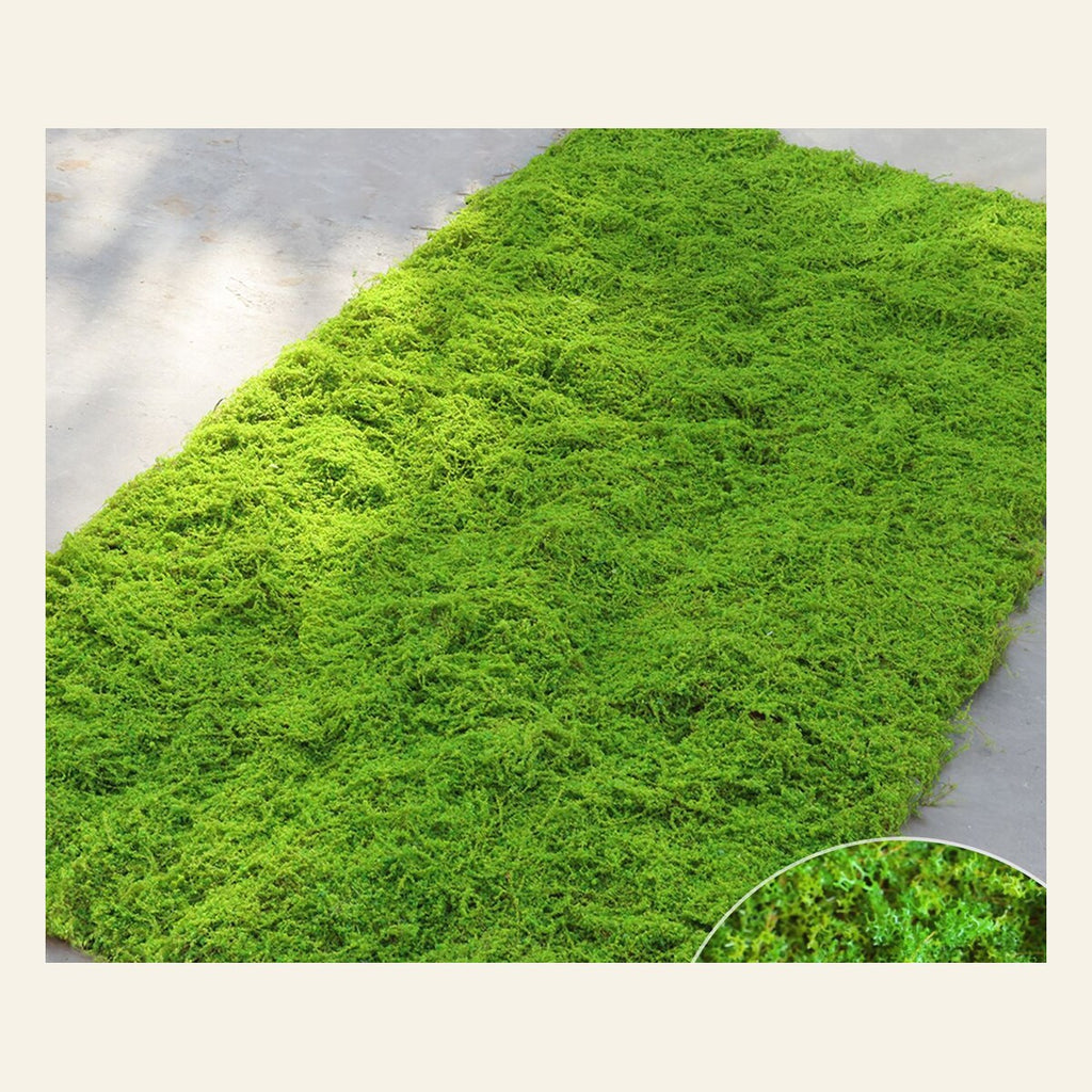 EVERIVELLE Artificial Moss Turf Sheet