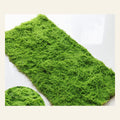 EVERIVELLE Artificial Moss Turf Sheet