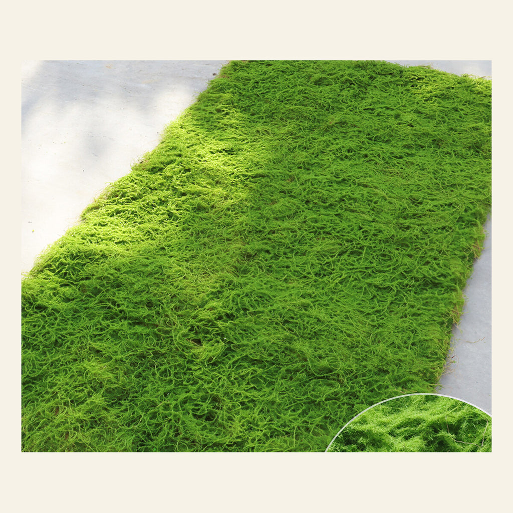 EVERIVELLE Artificial Moss Turf Sheet