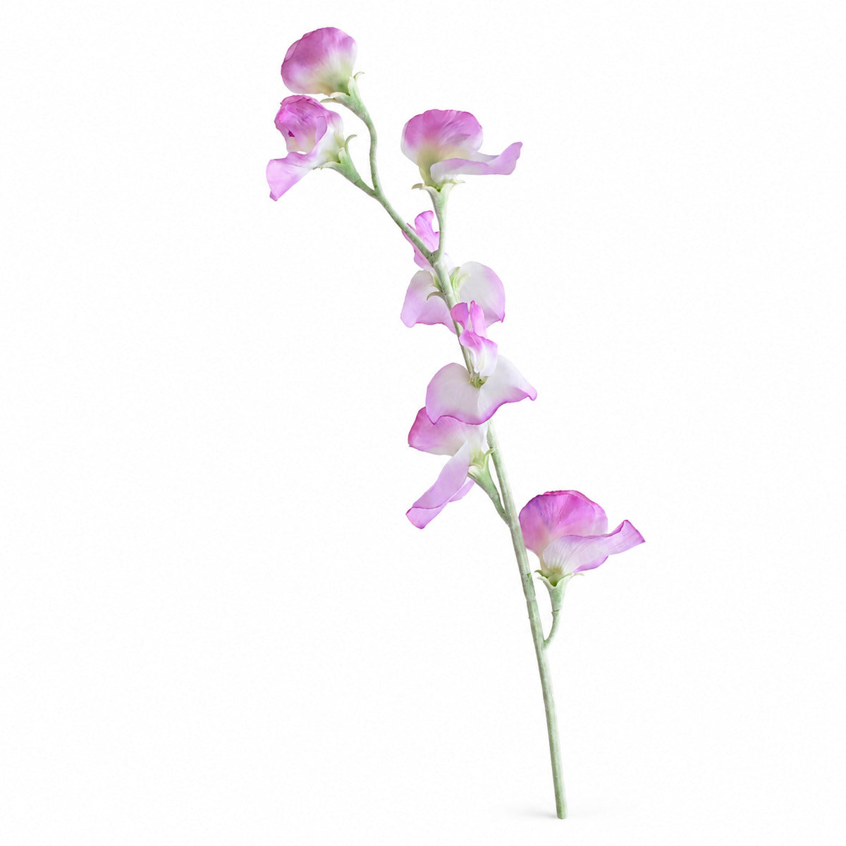 EVERIVELLE 24.8-Inch Artificial Sweet Pea Stem