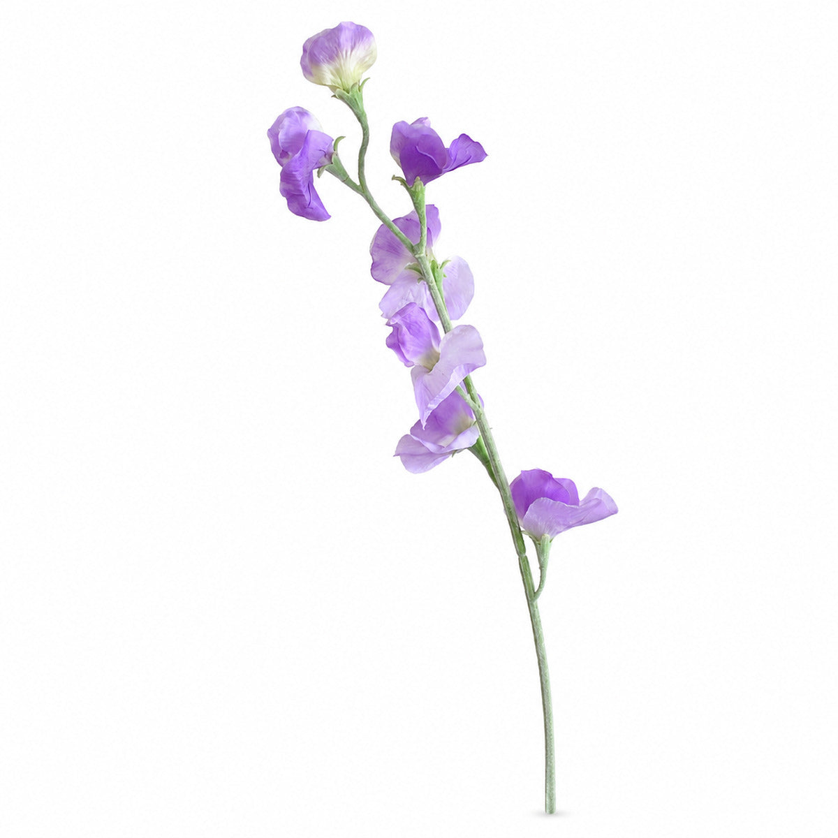 EVERIVELLE 24.8-Inch Artificial Sweet Pea Stem