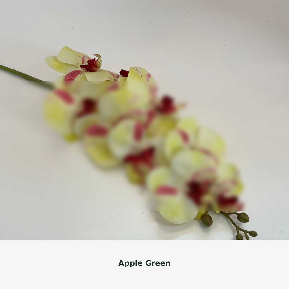EVERIVELLE Nine-Head Artificial Phalaenopsis Orchid Stem