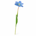 EVERIVELLE 27.6-Inch Open Parrot Artificial Tulip Stem