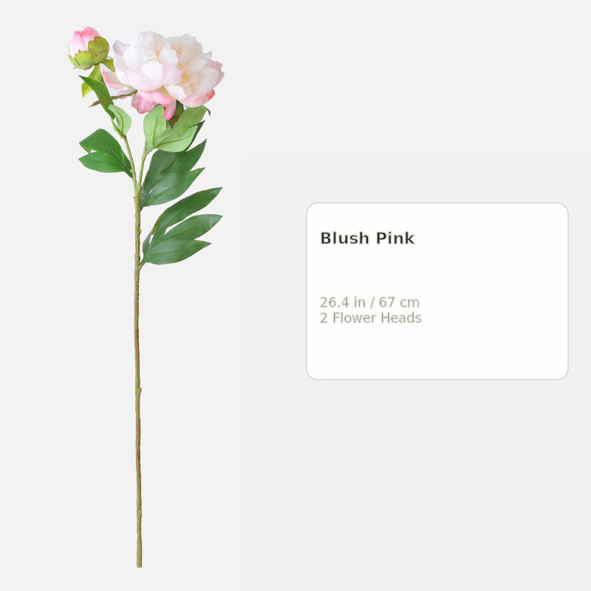 EVERIVELLE Two-Head Artificial Phoenix Peony Stem