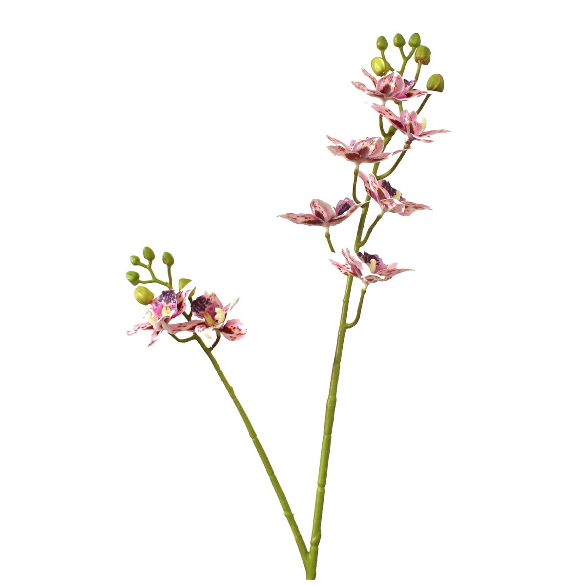 EVERIVELLE 34.3-Inch 3D-Printed Artificial Calanthe Orchid Stem