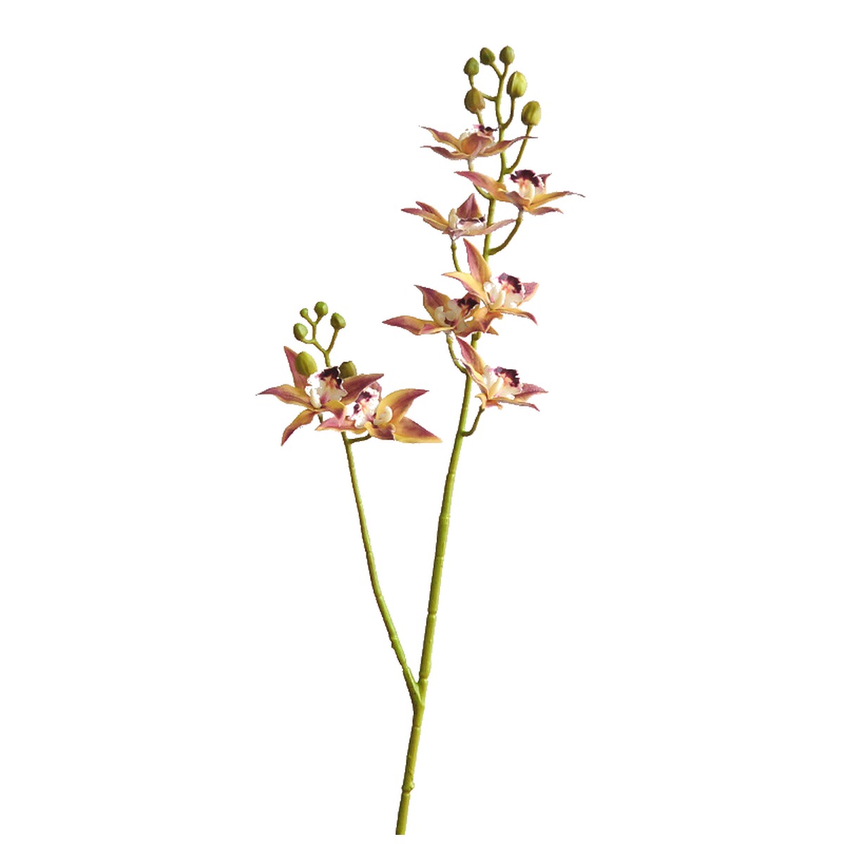 EVERIVELLE 34.3-Inch 3D-Printed Artificial Calanthe Orchid Stem