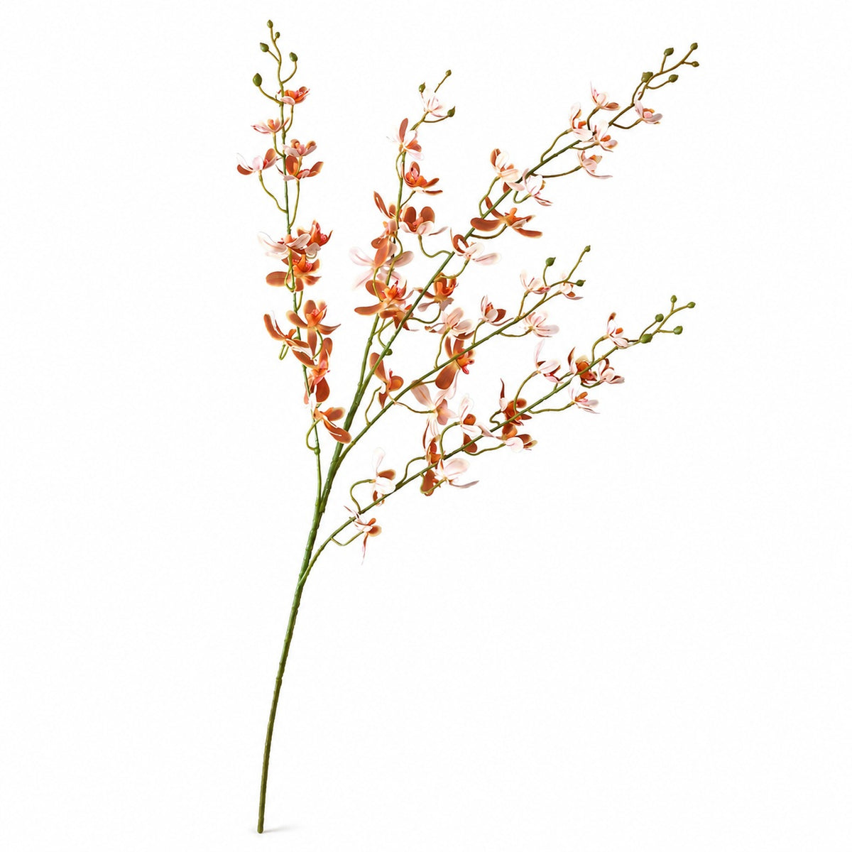 EVERIVELLE Five-Branch Artificial Vanda Orchid Stem