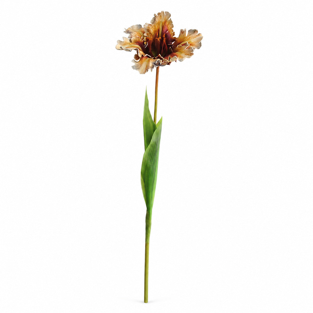 EVERIVELLE 27.6-Inch Open Parrot Artificial Tulip Stem