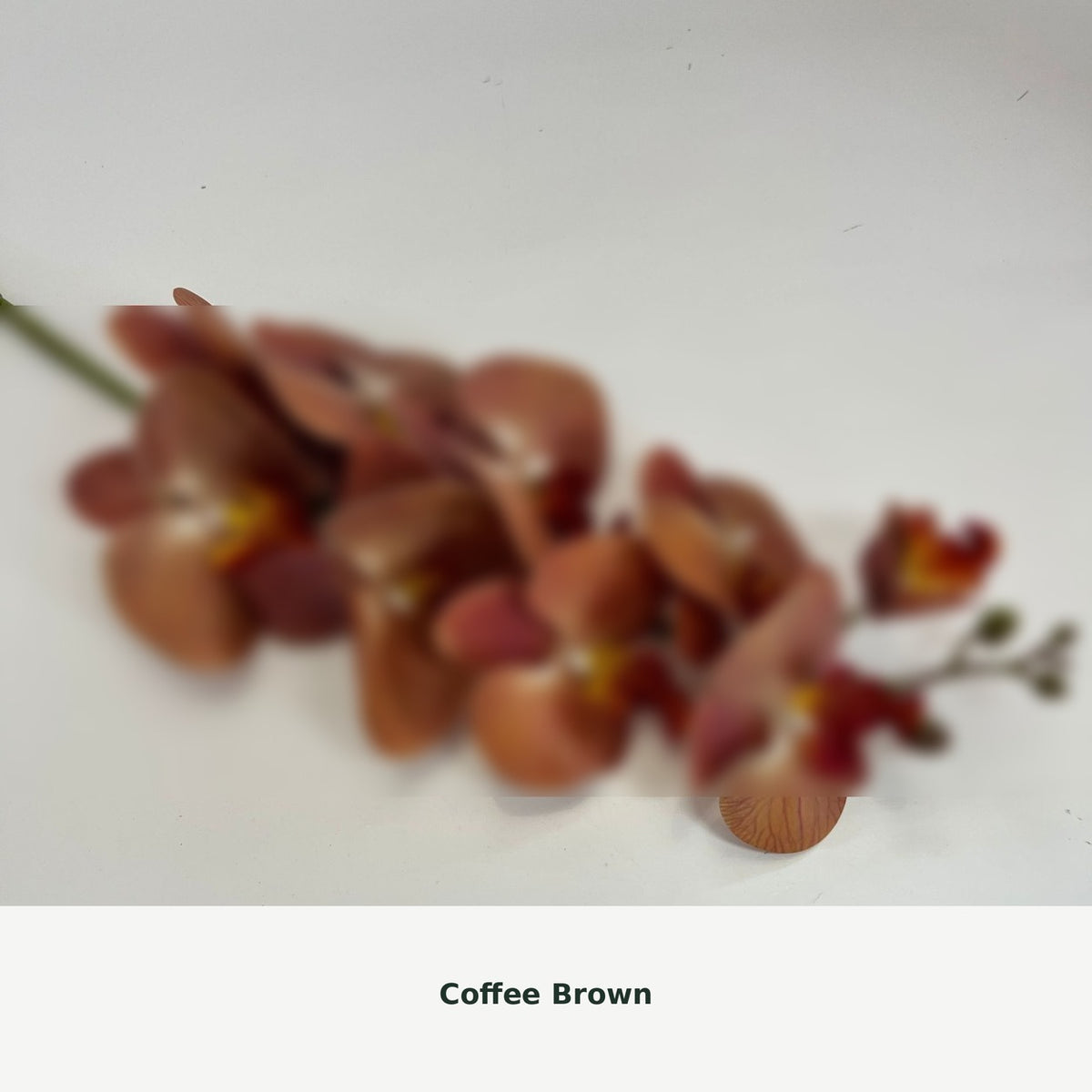 EVERIVELLE Nine-Head Artificial Phalaenopsis Orchid Stem