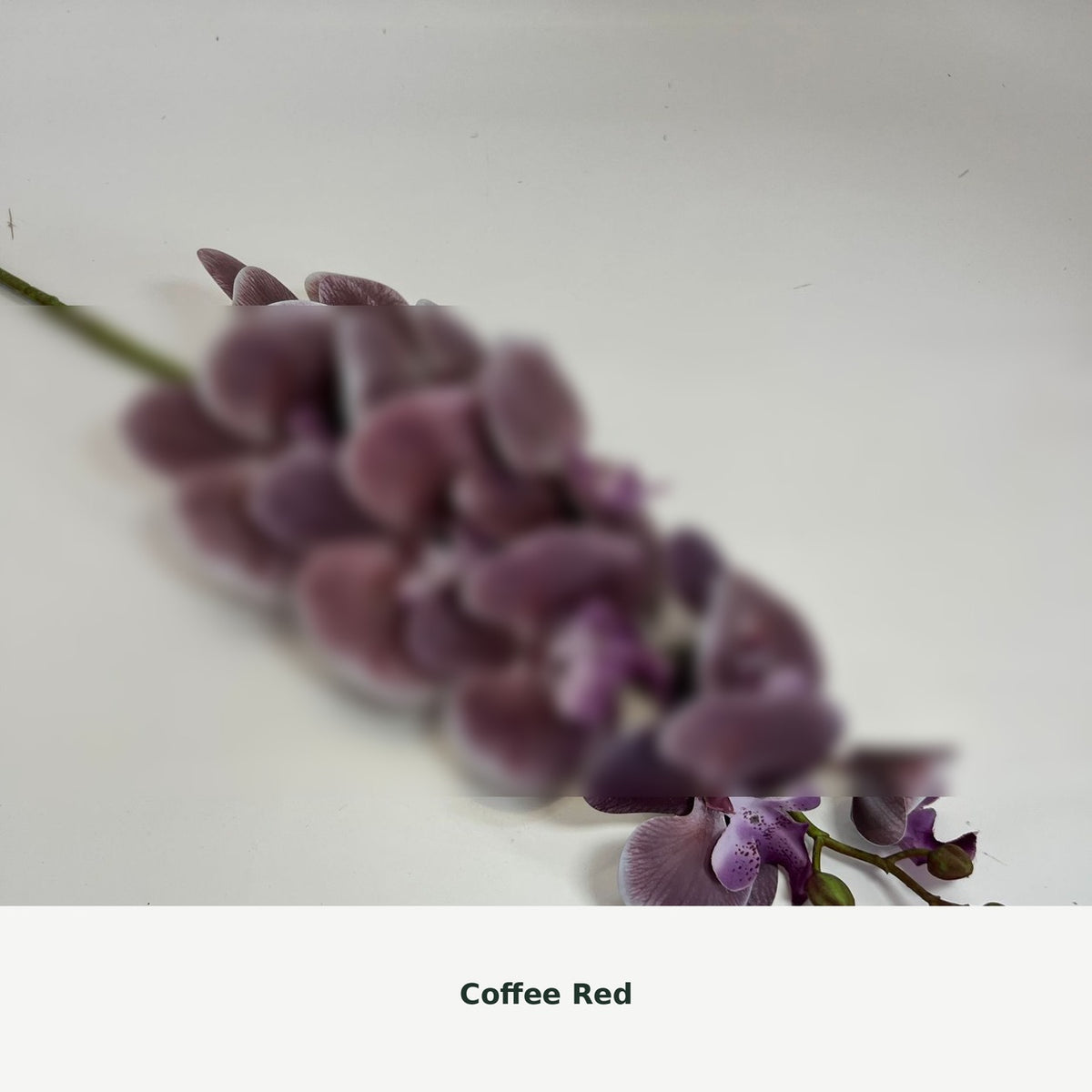 EVERIVELLE Nine-Head Artificial Phalaenopsis Orchid Stem