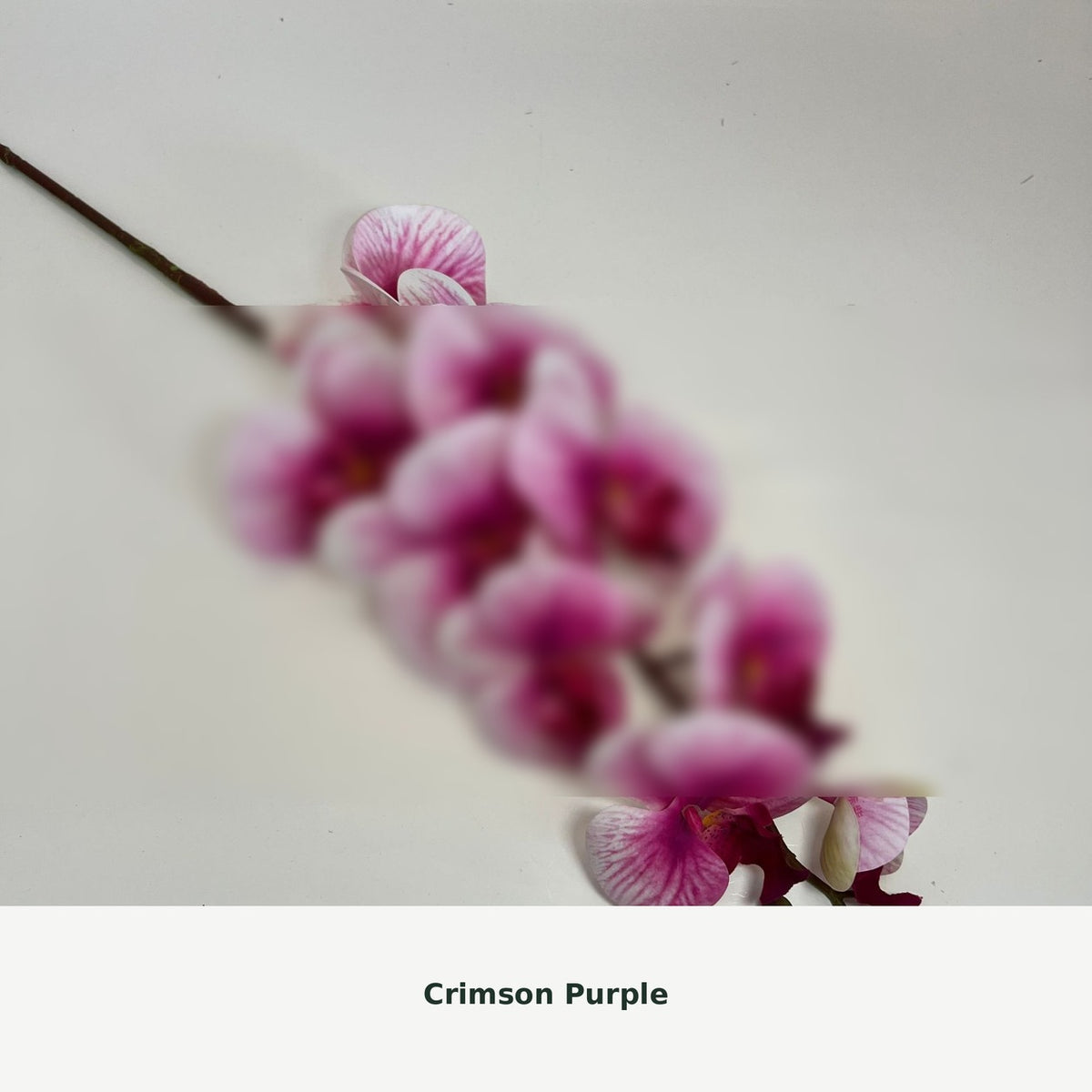 EVERIVELLE Nine-Head Artificial Phalaenopsis Orchid Stem