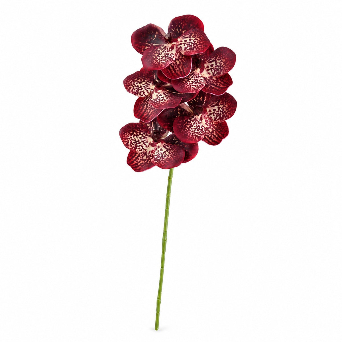 EVERIVELLE 3D Artificial Phalaenopsis Orchid Stem