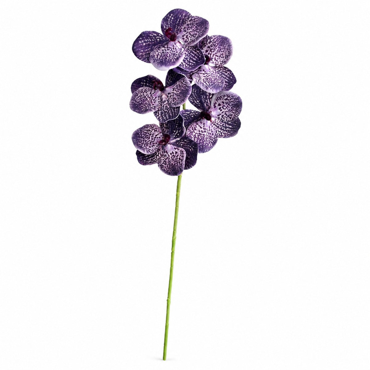 EVERIVELLE 3D Artificial Phalaenopsis Orchid Stem