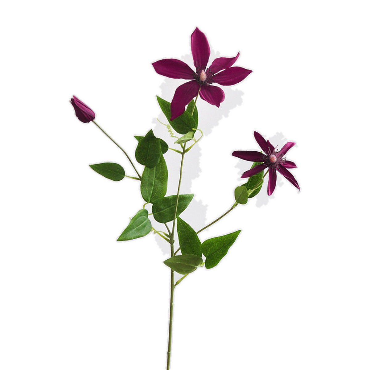 EVERIVELLE Artificial Clematis Flower Stem