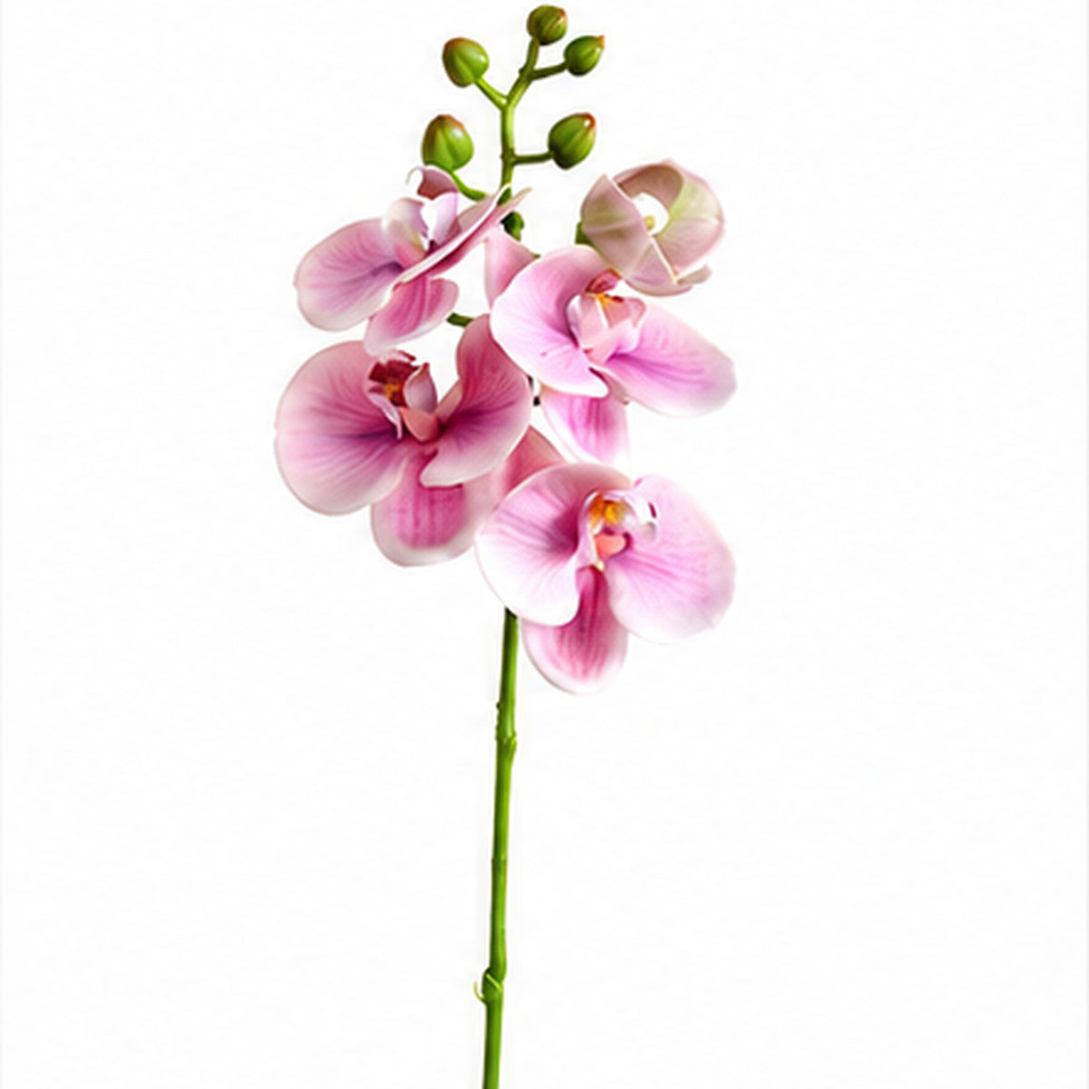 EVERIVELLE 19.7-Inch Mini Soft-Touch Artificial Phalaenopsis Orchid Stem
