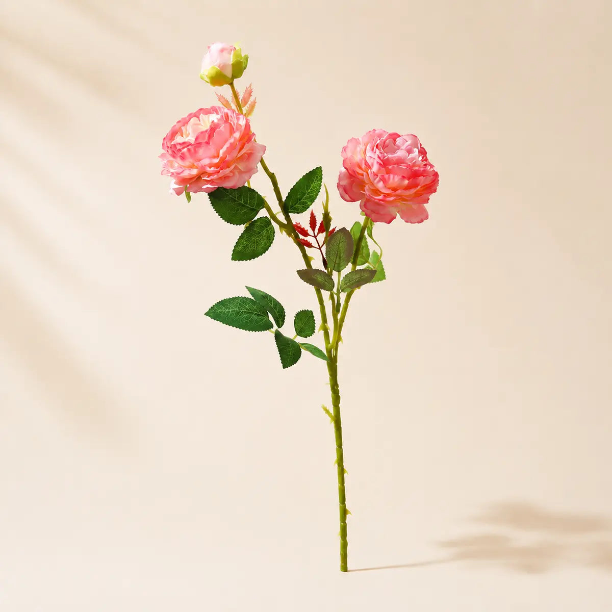 EVERIVELLE European Artificial Peony Stem